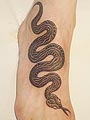 tattoo - gallery1 by Zele - animals - 2008 01 zmija tetovaža 0001